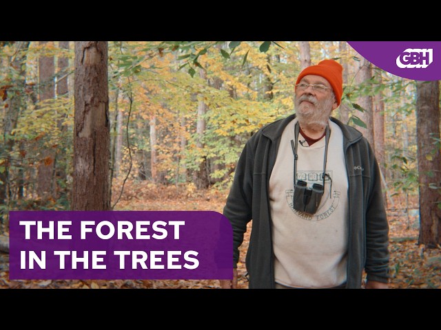 The Man Who Spent 4,000 Hours Watching Leaves (full documentary)