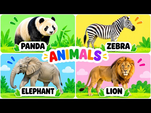 Learn Animals for Kids | Animal Names & Spelling | Toddler Learning