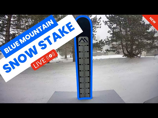 Blue Mountain - Snow Stake