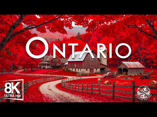 Ontario Autumn 8K UHD | Vibrant Fall Foliage, Golden Maple Forests & Scenic Lakes