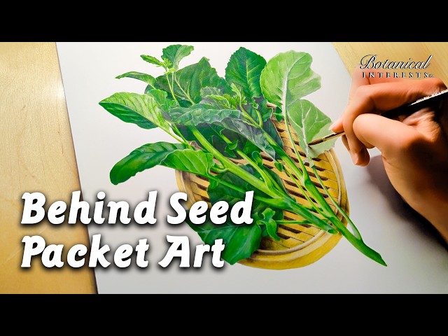 How I Create REALISTIC Botanical Illustrations (FULL PROCESS)