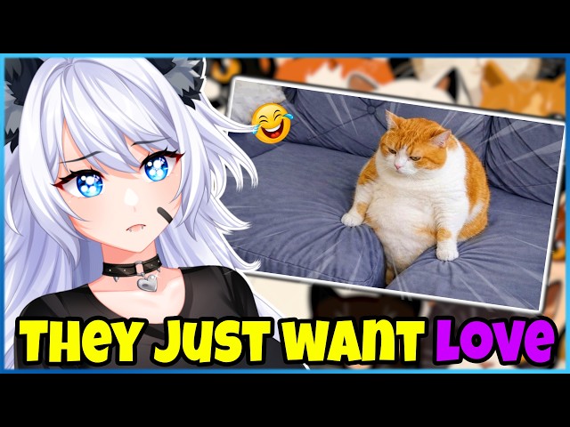 These Cats DEMAND YOU | VTuber Reacts To Impossible Not to Laugh 🤣😹 Funniest Cat Clips 2026