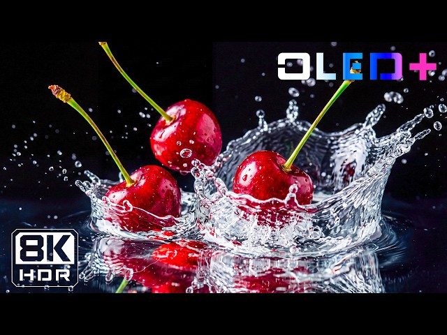 Incredible OLED HDR Test 16K 120FPS | Dolby Vision for 4K • 8K Ultra HD TVs