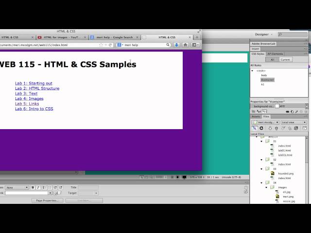 HTML & CSS- CSS intro
