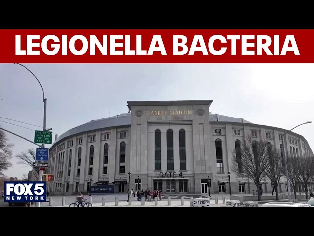 Yankee Stadium cooling tower tests positive for Legionella bacteria