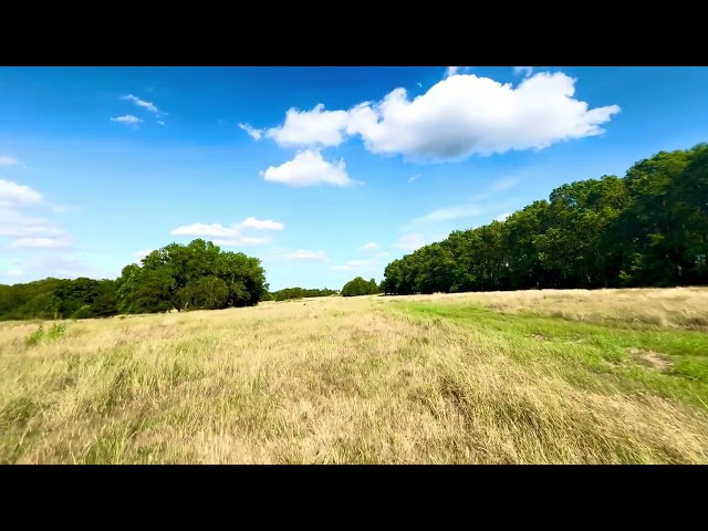 Deangate Ridge | Kent | Part 2
