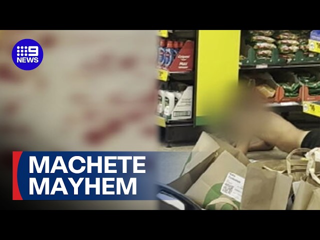 Teens released after machete brawl  | 9 News Australia