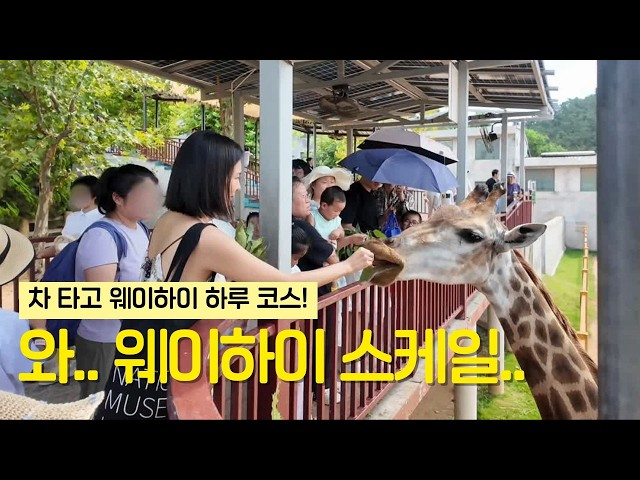 🇨🇳 ENG Weihai Trip Day 2 | From the Zoo to Shipwreck Snapshots, Massage & Hanlafang Night Market 🚗