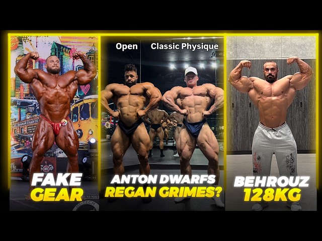 Real Reason Why Jo WAS OFF + Regan Grimes SMOKED by Anton Ratushnyi? + Behrouz Tabani is MASSIVE