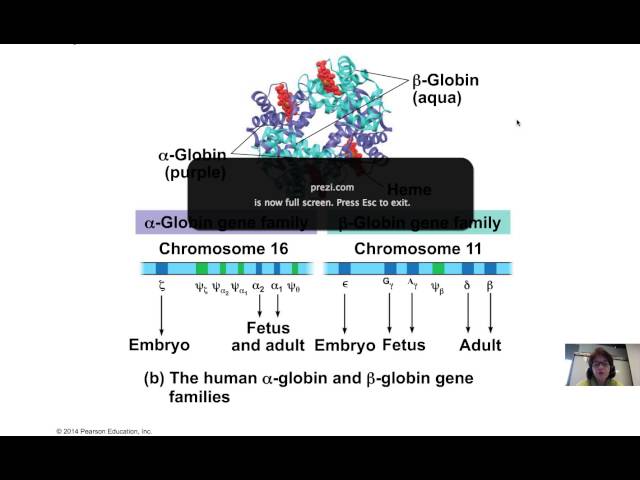 ch18Genomes