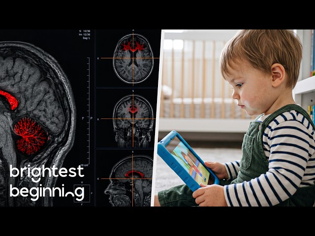 Brain Scans Reveal the True Cost of Screen Time
