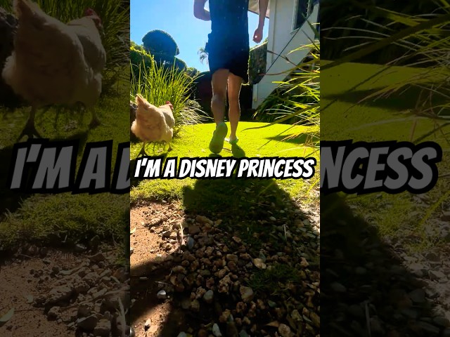 DISNEY PRINCESS ENERGY 😍🐔🕊️ Chickens & Zebra Doves Everywhere LOL 💖