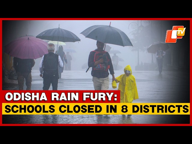 Heavy Rain Forces School Closures In 8 Odisha Districts; Govt Plans Extra Classes