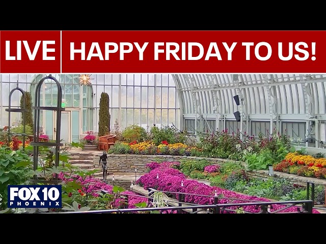 🔴LIVE: WEBCAMS around the world | October 16 | FOX 10 Phoenix
