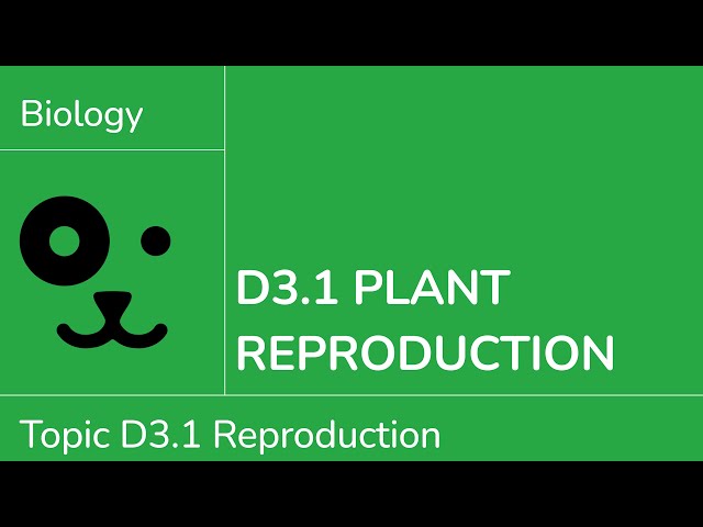 D3.1 Plant Reproduction [IB Biology SL/HL]