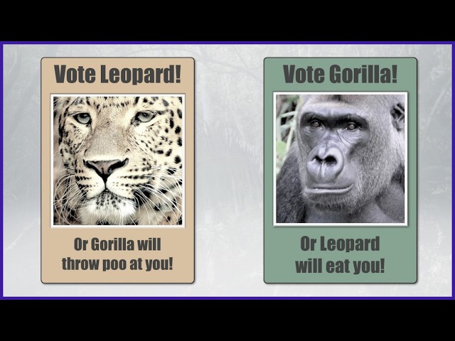 Why Your Vote Doesn't Count