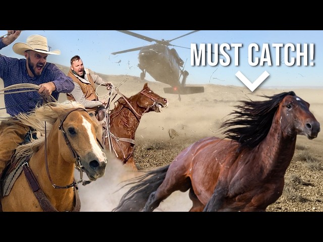 Catching Wild Horses (With Heavy D Sparks)