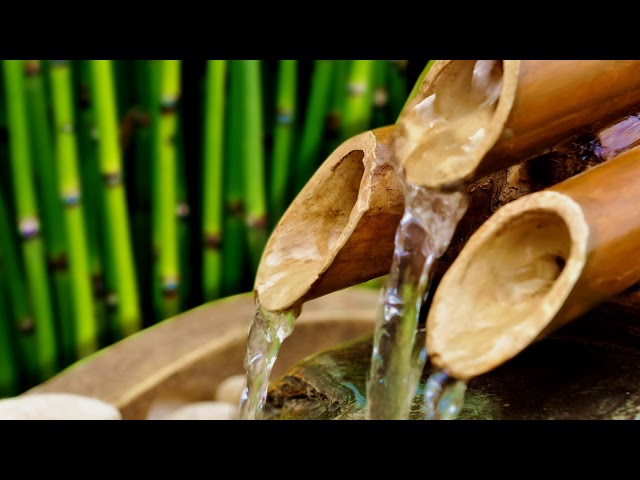 1 Hour Relaxing Music With Water Sounds Meditation