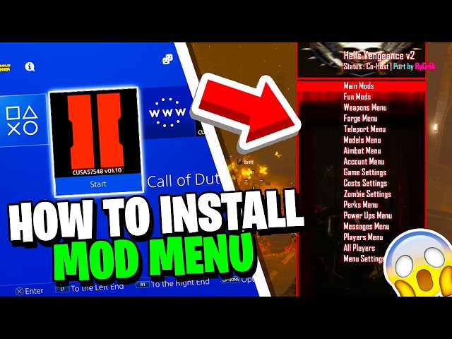 Black Ops 2 How to Install Zombies Mod Menu! (PS4/PS5)