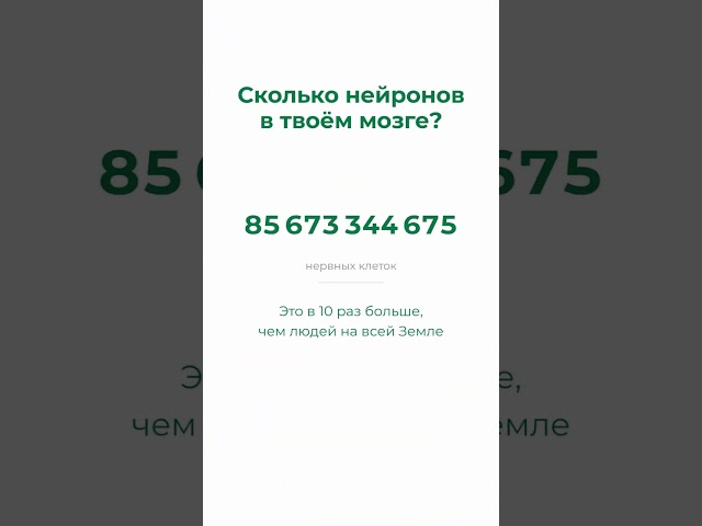 В твоём мозге 86 миллиардов нейронов