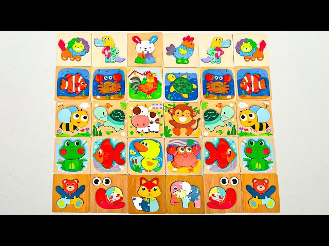 Best Learn Shapes with Animals Shape Matching Puzzle | Preschool Toddler Learning Kids Toy Video