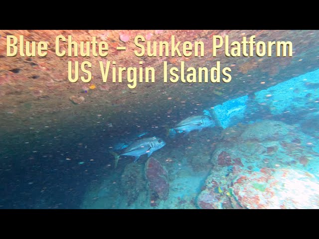 Sunken Platform Dive at Blue Chute, St. Croix | 360° Underwater Exploration!
