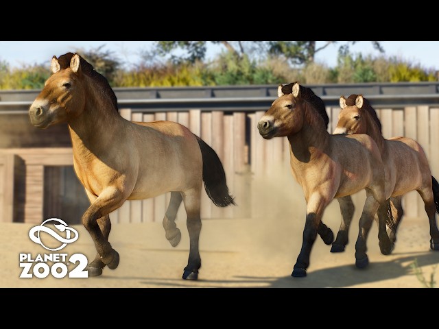 Building a PRZEWALSKI’S HORSE Habitat in Planet Zoo 2! 🐴 | Oak Valley City Zoo