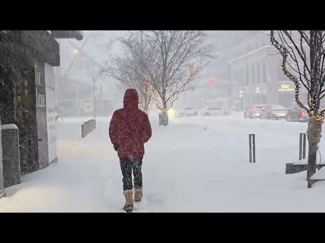 2026 Jan 25 Polar Vortex Snow Storm Downtown Toronto | UHD 4K 