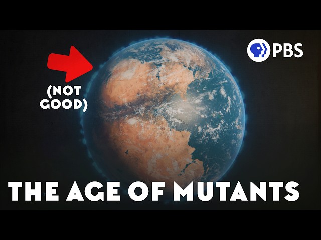Did the Ozone Collapse 252 Million Years Ago?