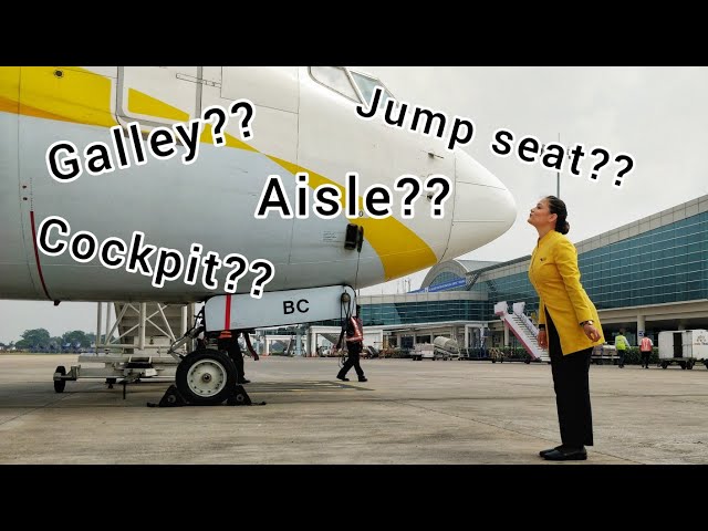 LEARN COMMON AIRLINES TERMS|| AVIATION TERMINOLOGY || CABIN CREW|| NIRUPAMA KUKRETI