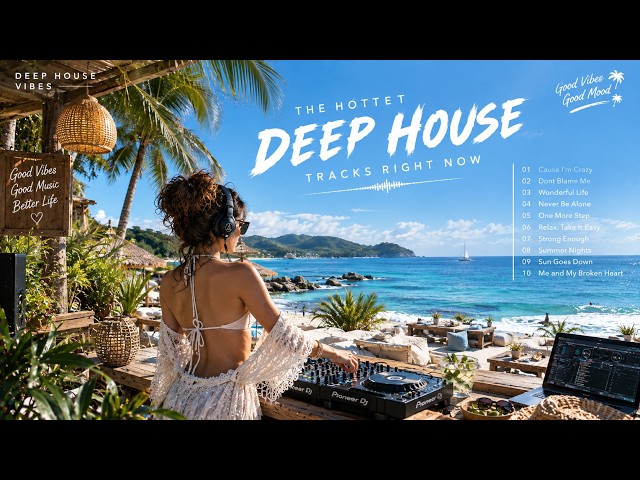 Avicii, Justin Bieber, Calvin Harris, Alok, Martin Garrix & Kygo Style - Best Summer Mix