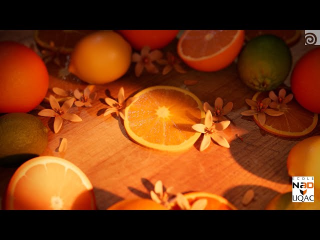 2025 Houdini Student Reel