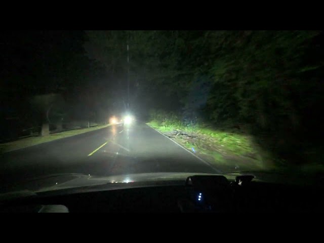 Tesla Matrix Adaptive Headlights USA Spring Update (2025.14.3.1)