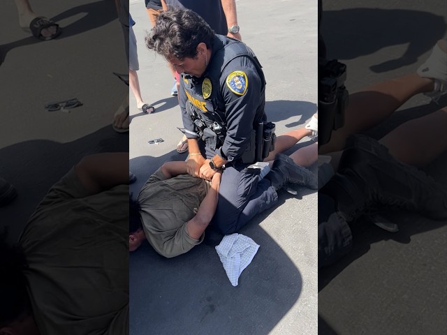 Bystanders tackle suspected car thief after police chase