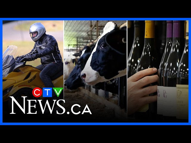 Here's what the U.S. import ban means for several Canadian sectors