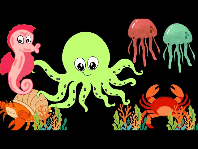 Baby Sensory Video | High Contrast Dancing Animals & Fruit Shapes, Visual Tracking & Tummy Time