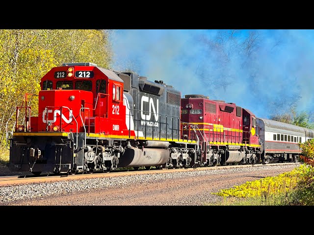 Twelve Hours of Trains! 200+ Trains!!
