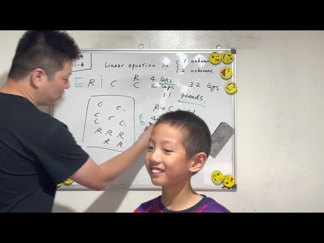 Day 324 - Teaching Kids Programming - Linear Equation with Two Unknowns (Chicken and Rabbit Problem)