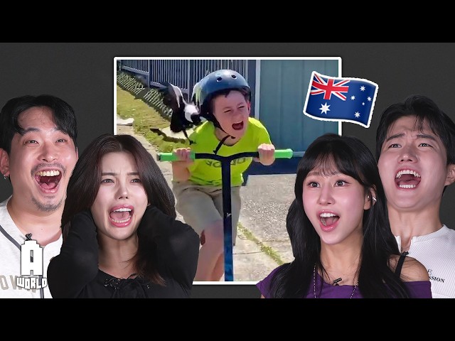 Koreans React to "Aussies Are Built Different"