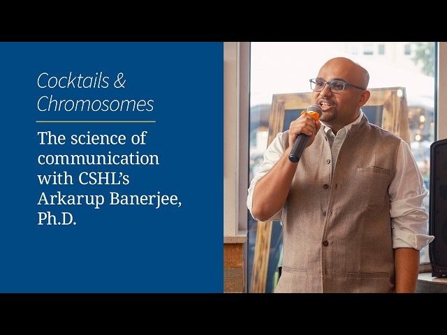 The science of communication