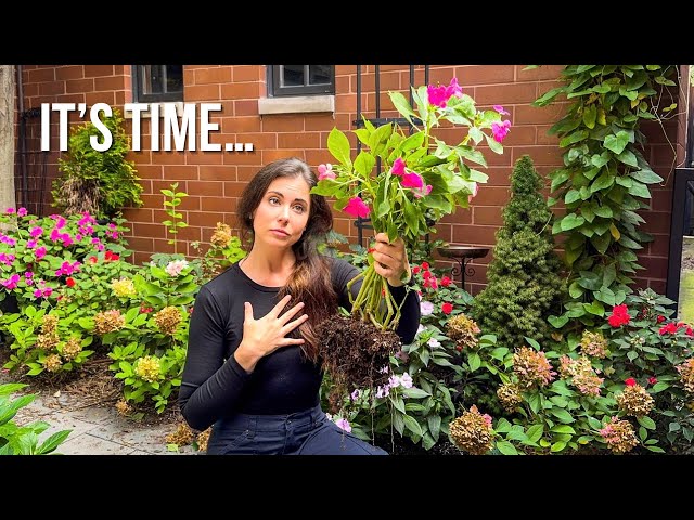 The Hardest Part of Gardening… Ripping It All Out 🌸 😩