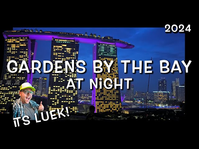 Supertree Observatory at Night - Gardens by The Bay Singapore | It's Luek!