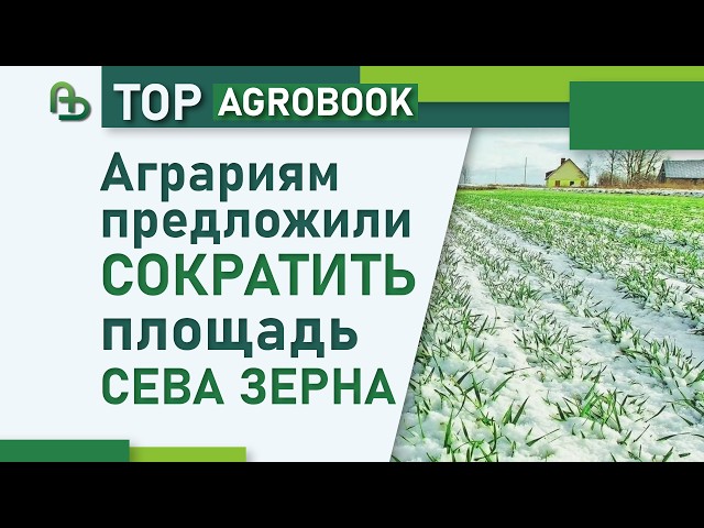 Farmers proposed to reduce grain acreage | TOP Agrobook: agricultural news roundup