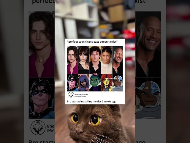 Perfect teen titan cast