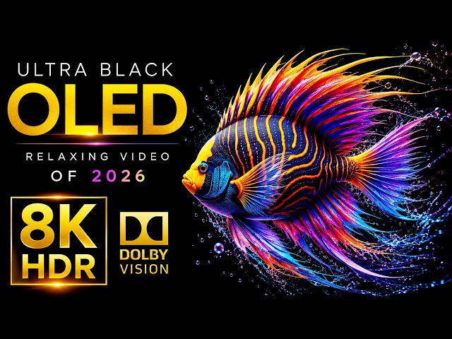 ULTRA Black OLED Display Test | Dolby Vision HDR 240fps (8K Video ULTRA HD TV)
