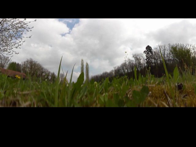 Wiese bei Schulteich in 360°