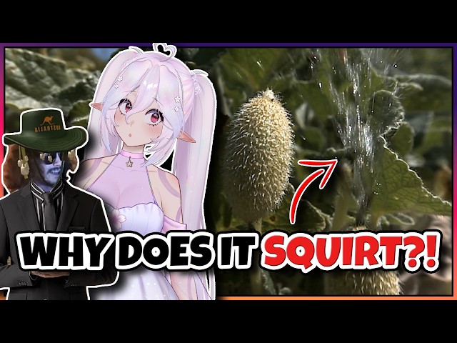 THESE ARE THE SCARIEST PLANTS I'VE EVER SEEN  | VTuber Reacts to MoreParz