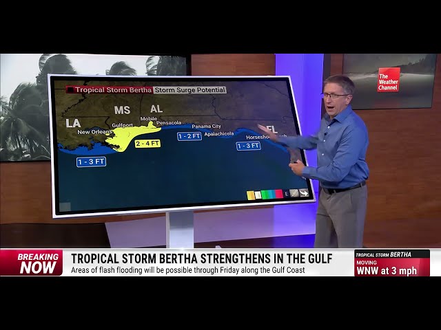 BREAKING: Tropical Storm Bertha Forms in Gulf