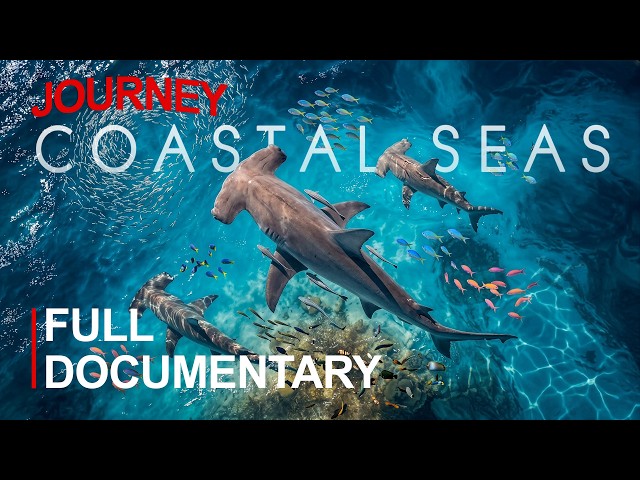 COASTAL SEAS | Life, Waves and Secrets Along the World’s Shores | FULL DOCUMENTARY