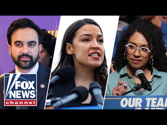 Democratic socialists stage 'hard-left' insurgency in NY primary